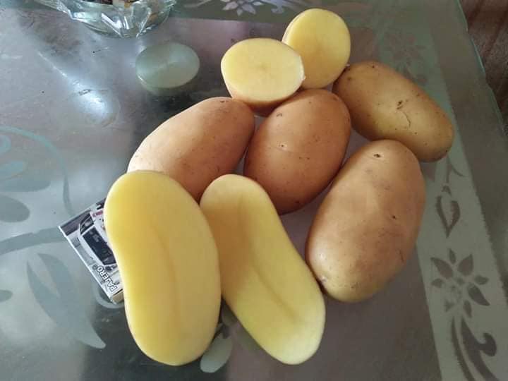 Premium fresh Potatoes (Mozika / Irish Potatoes) direct-from-farm